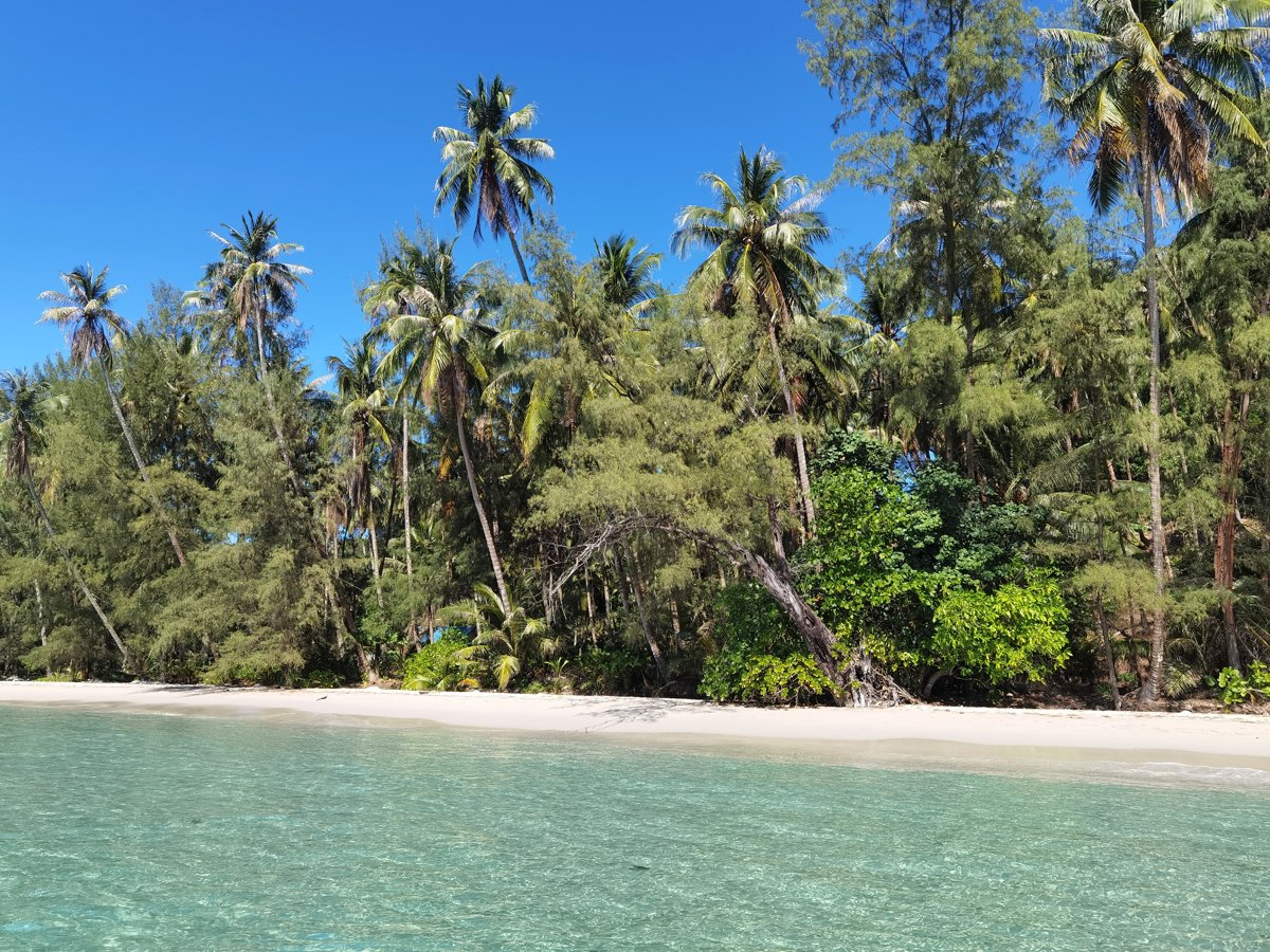 Plage de sable blanc déserte, cocotiers et eau turquoise