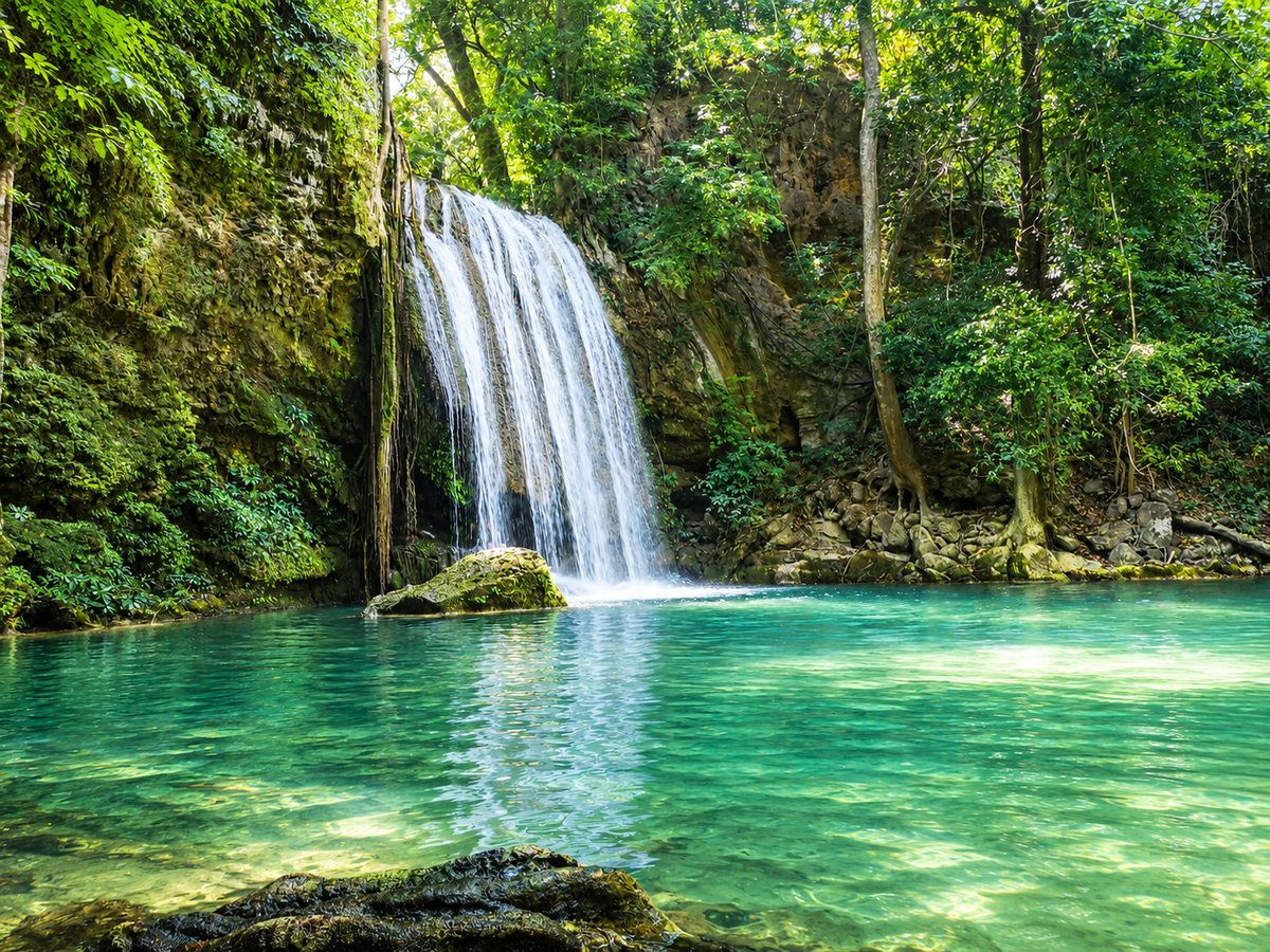 Cascade et bassin turquoise au cœur d'une forêt tropicale